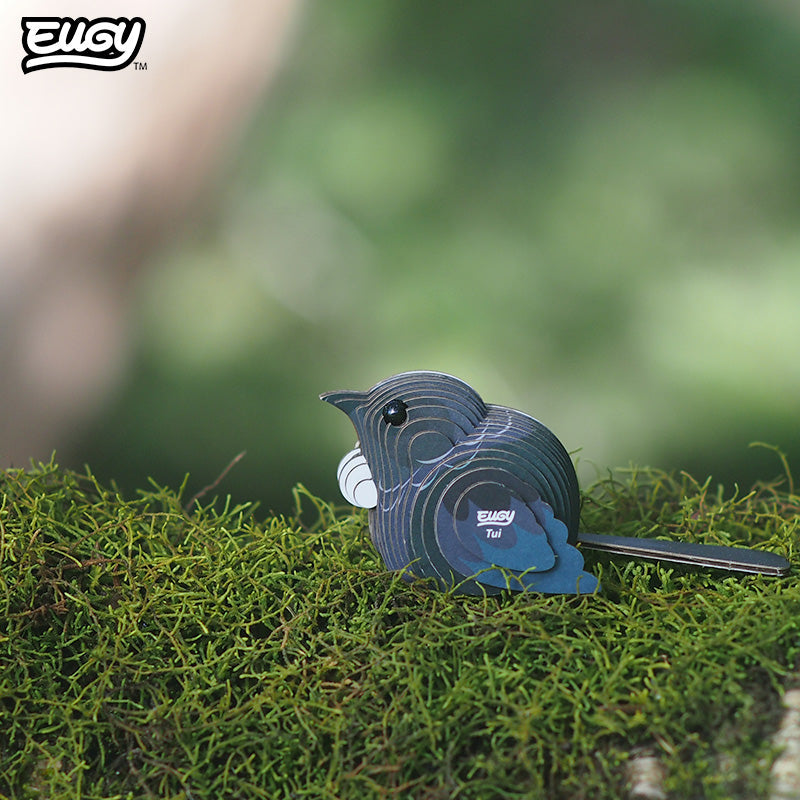 Maquette 3D EUGY 003 Tūī – mise en scène