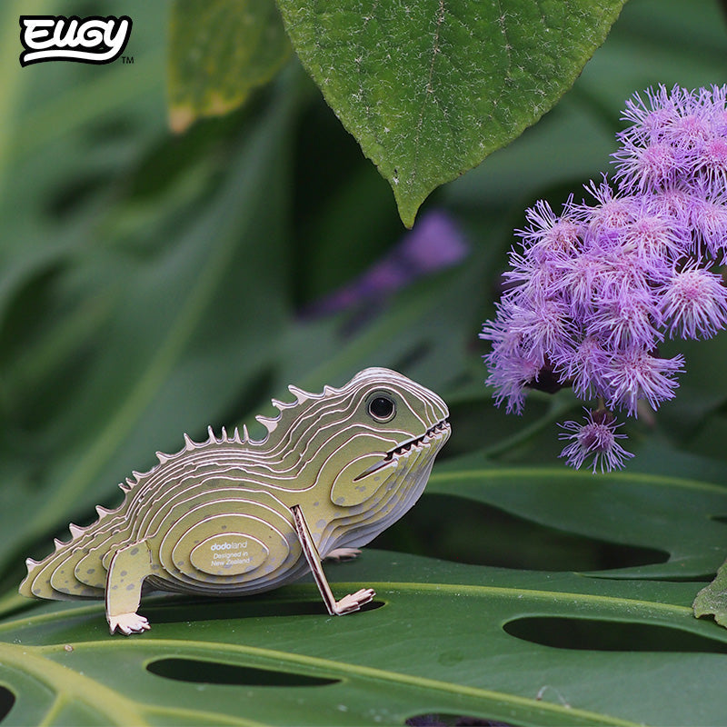 Maquette 3D EUGY 004 Tuatara – mise en scène