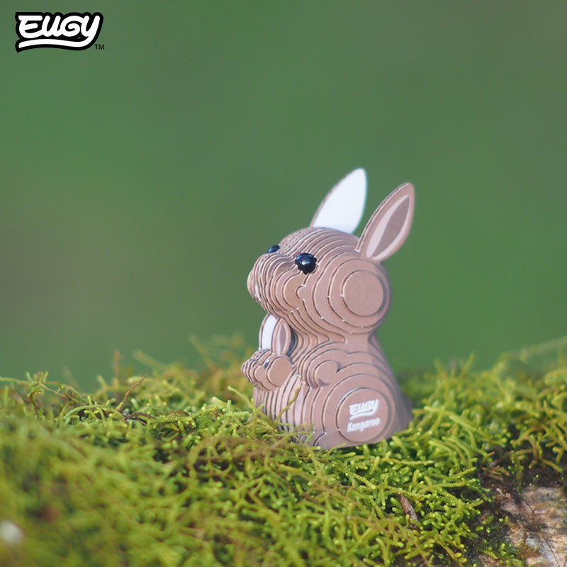Maquette 3D EUGY 015 Kangourou – mise en scène