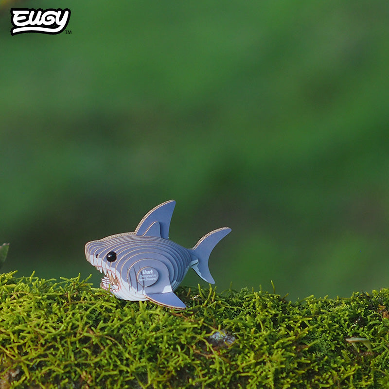 Maquette 3D EUGY 019 Requin – mise en scène