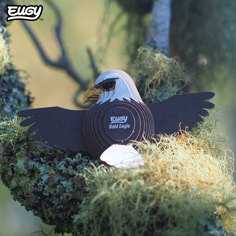 Maquette 3D EUGY 022 Aigle – mise en scène