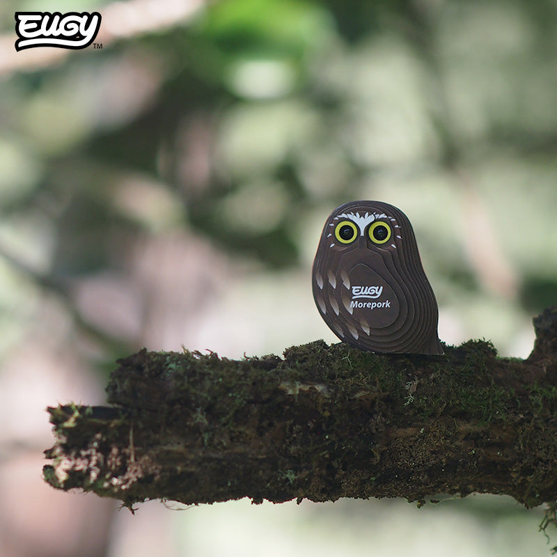 Maquette 3D EUGY 036 Ninox – mise en scène