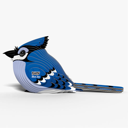 Maquette 3D EUGY 067 Geai bleu – vue 2