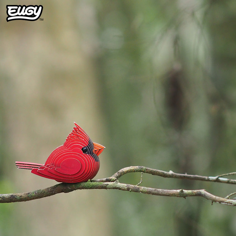 Maquette 3D EUGY 068 Cardinal – mise en scène – photographie 2