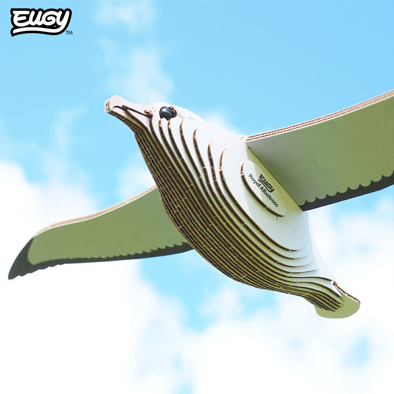 Maquette 3D EUGY 097 Albatros royal – mise en scène