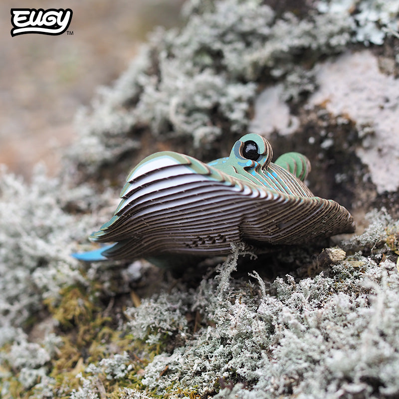 Maquette 3D EUGY 102 Raie – mise en scène – photographie 2