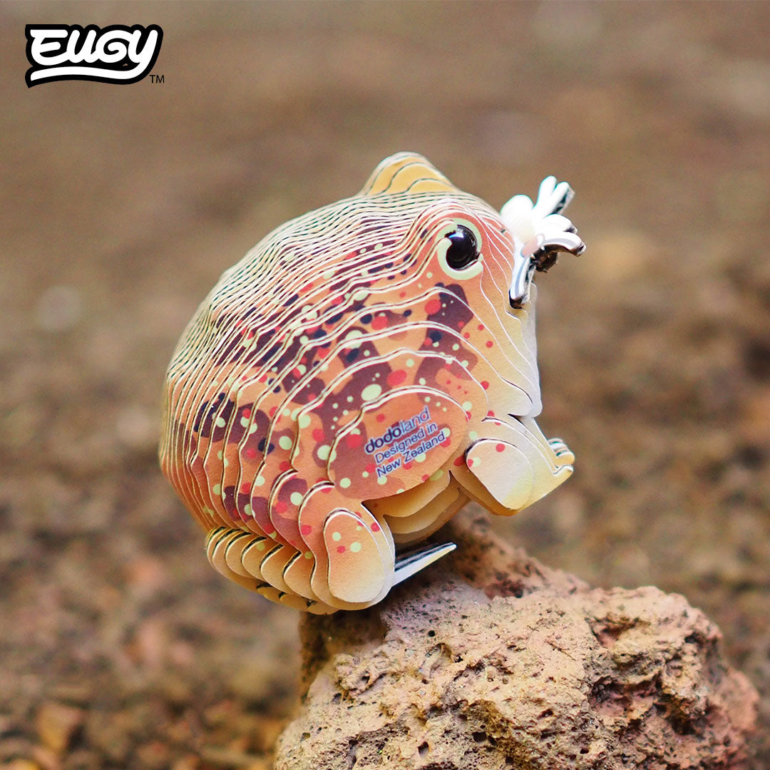 Maquette 3D EUGY 117 Crapaud du désert – mise en scène