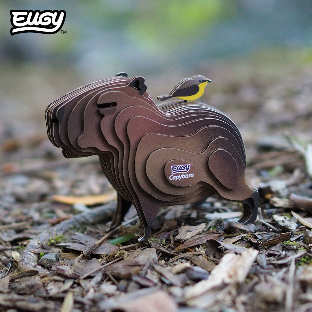 Maquette 3D EUGY 120 Capybara – mise en scène