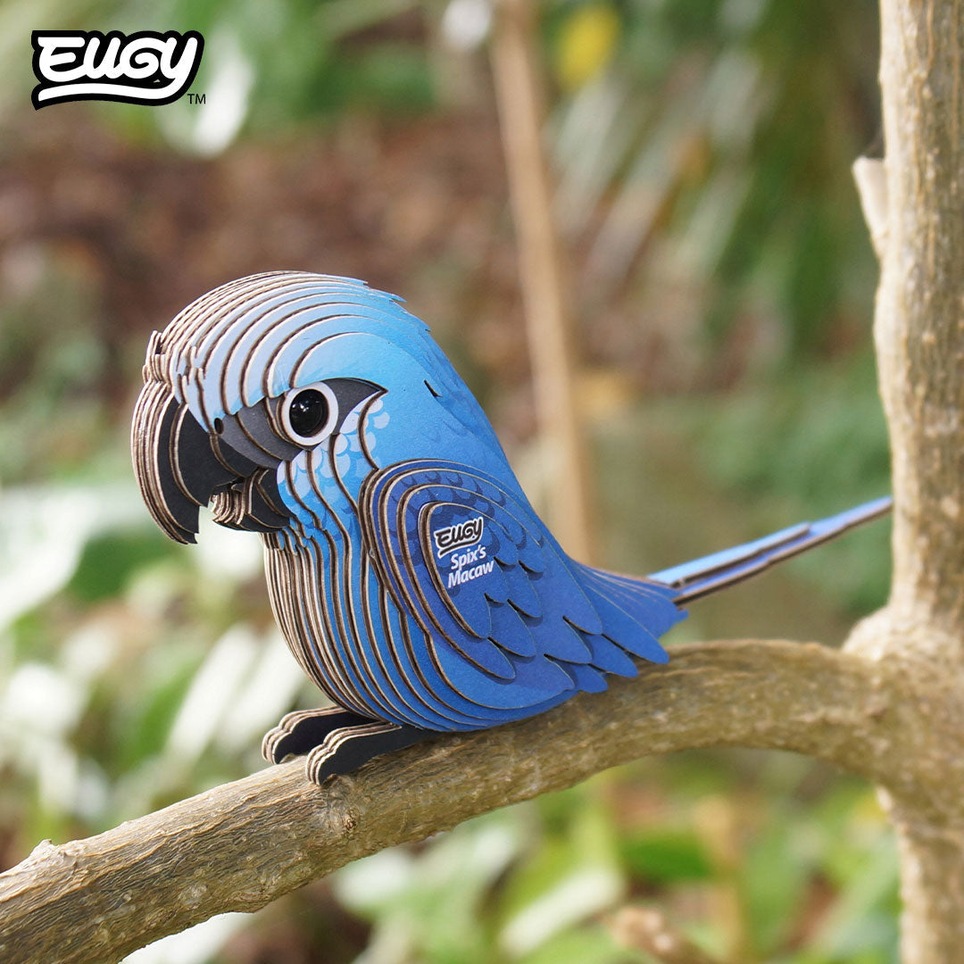 Maquette 3D EUGY 123 Ara de Spix – mise en scène