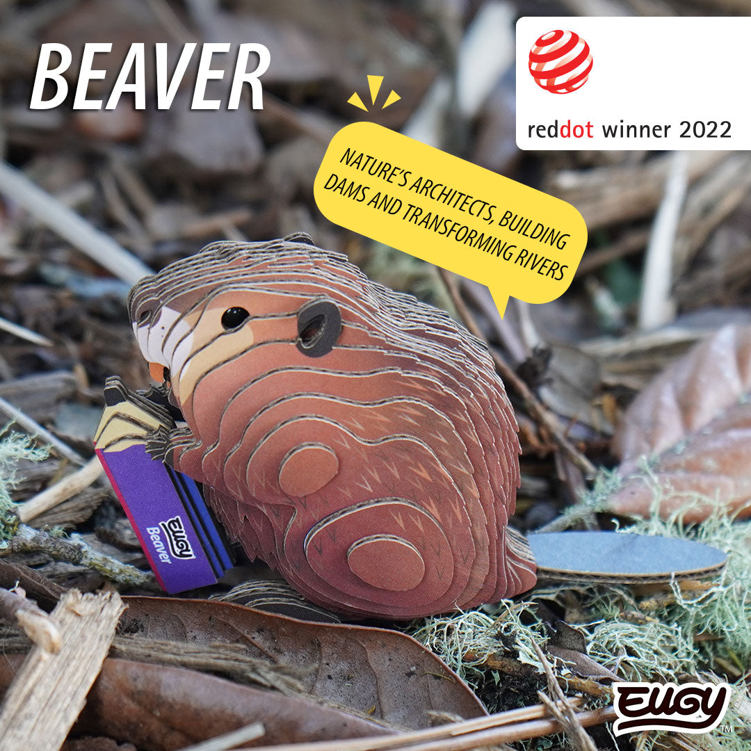 Maquette 3D EUGY 127 Castor – visuel Red Dot Design Award
