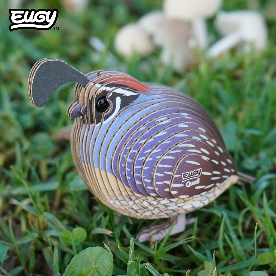 Maquette 3D EUGY 129 Caille – mise en scène