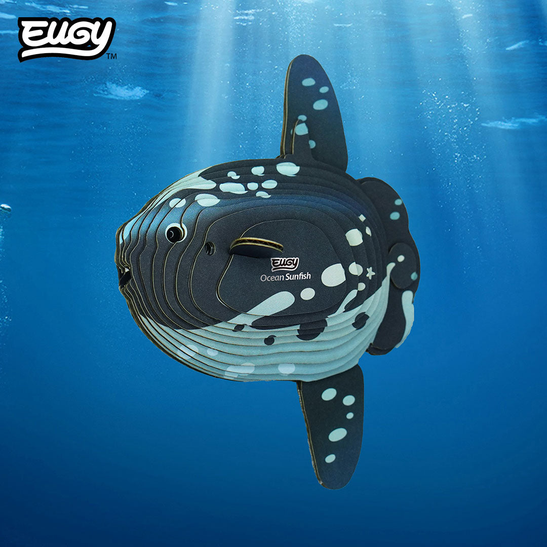 Maquette 3D EUGY 132 Poisson-lune – mise en scène