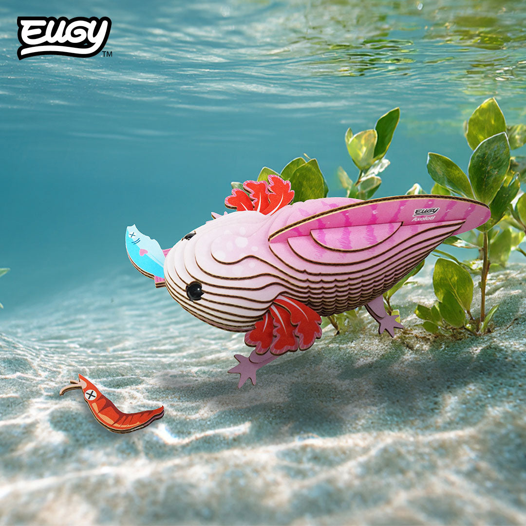 Maquette 3D EUGY 139 Axolotl – mise en scène