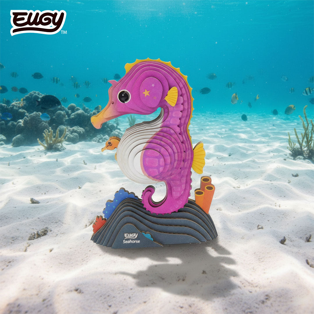 Maquette 3D EUGY 141 Hippocampe – mise en scène