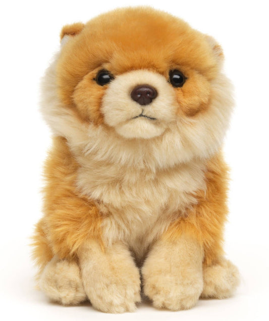 Peluche Spitz nain assis Uni Toys