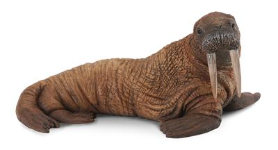 Collecta Animaux marins (L): MORSE 11.5x10x5.5cm