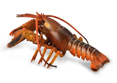 Figurine Deluxe Animaux Marins - Homard – vue produit 1