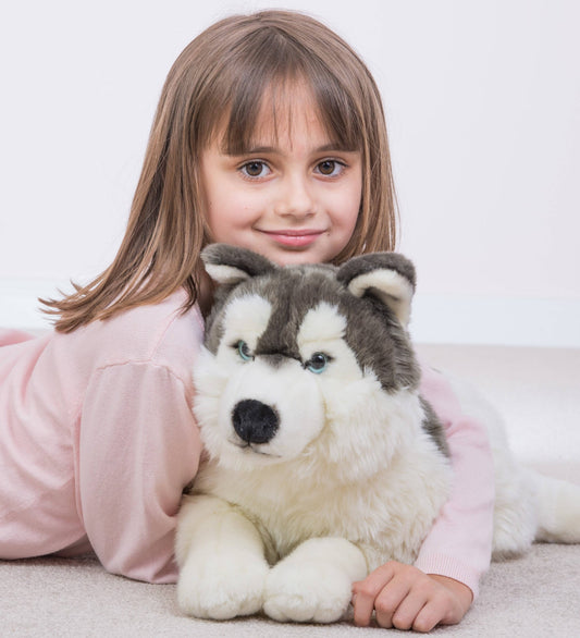 Large Plush Husky Lying Down