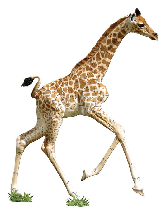 Giraffe Puzzle