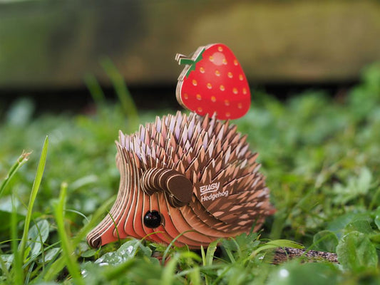EUGY 3D - Hedgehog