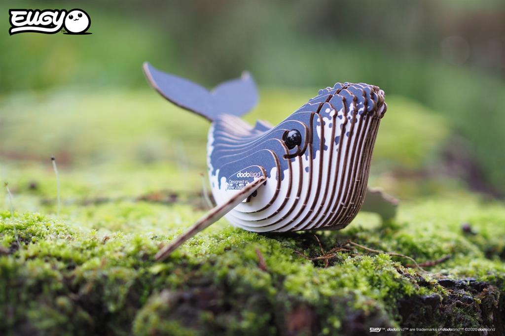 EUGY 3D - Humpback Whale