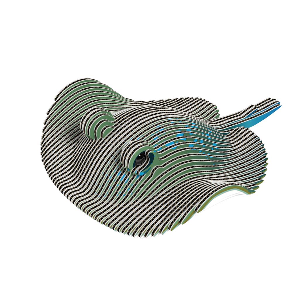 EUGY 3D - Ray