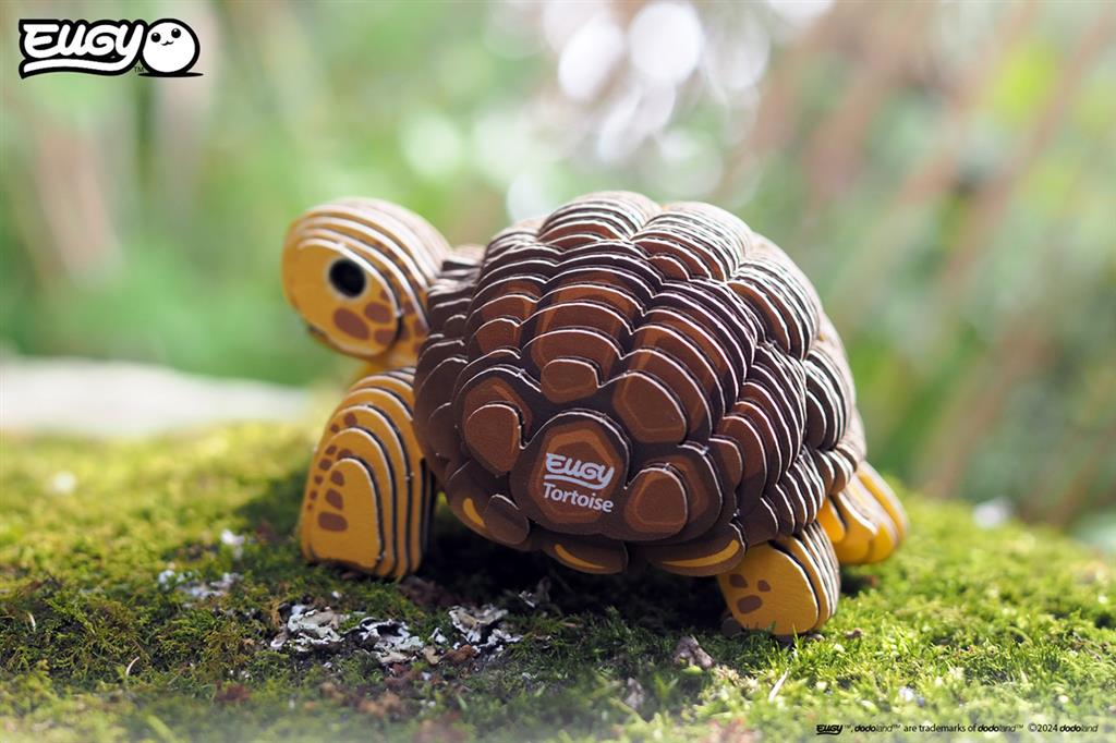 EUGY 3D - Turtle