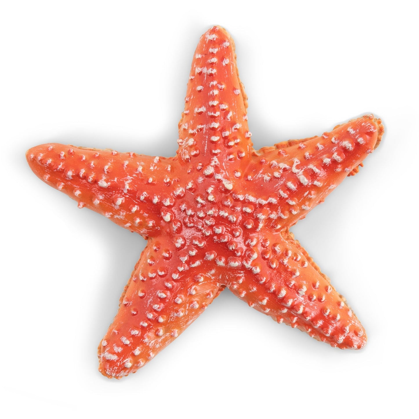 Figurine Etoile de mer Papo - animal marin