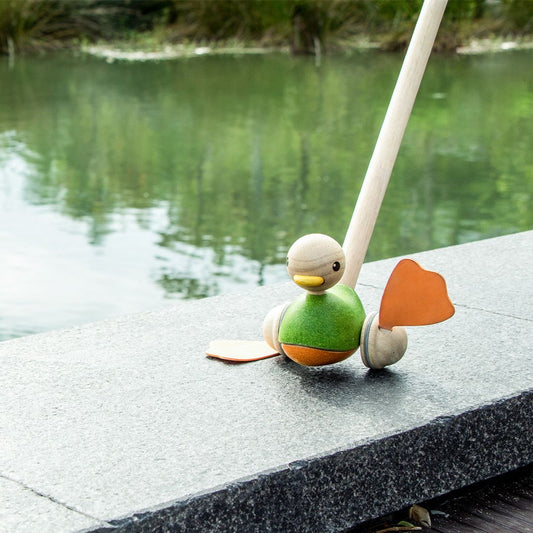 Schiebetier Ente