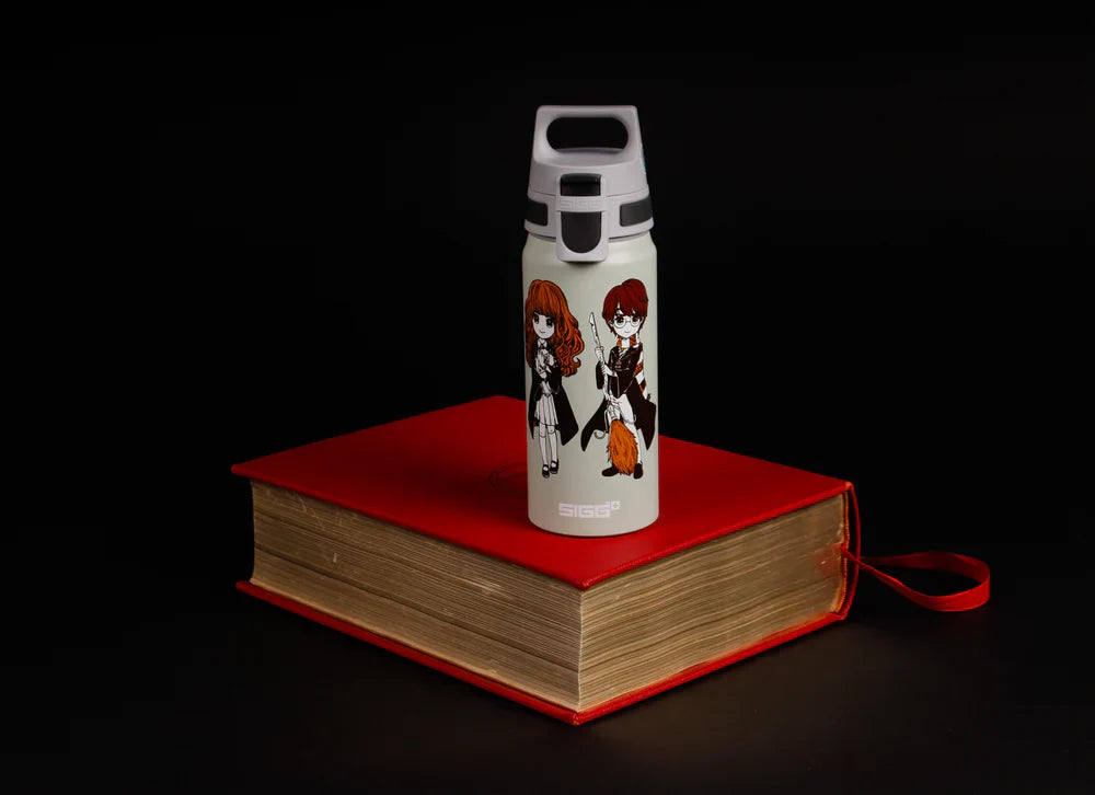 WMB ONE Kids Harry Potter Stand Together 0.6 L Water Bottle