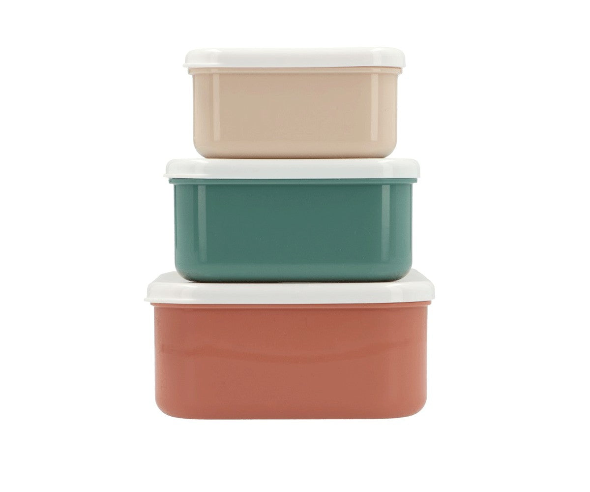 3 Geometric Nature Lunch Boxes