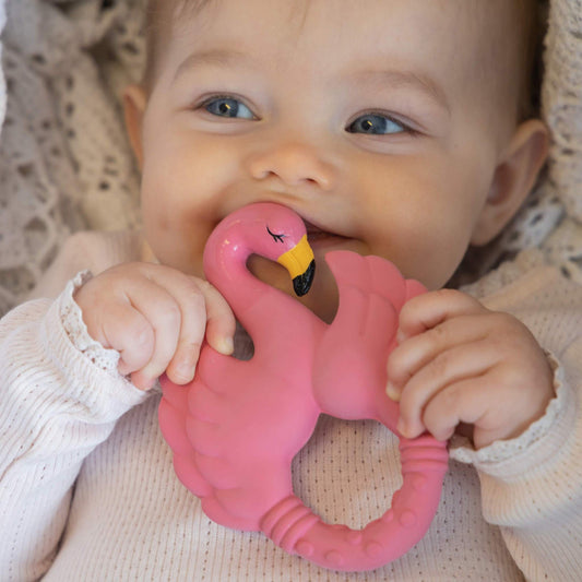 Flamingo Beißring