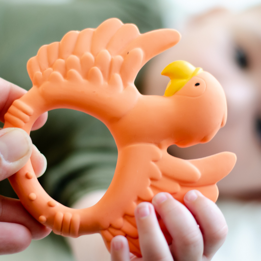 Oranje papegaai gebit ring