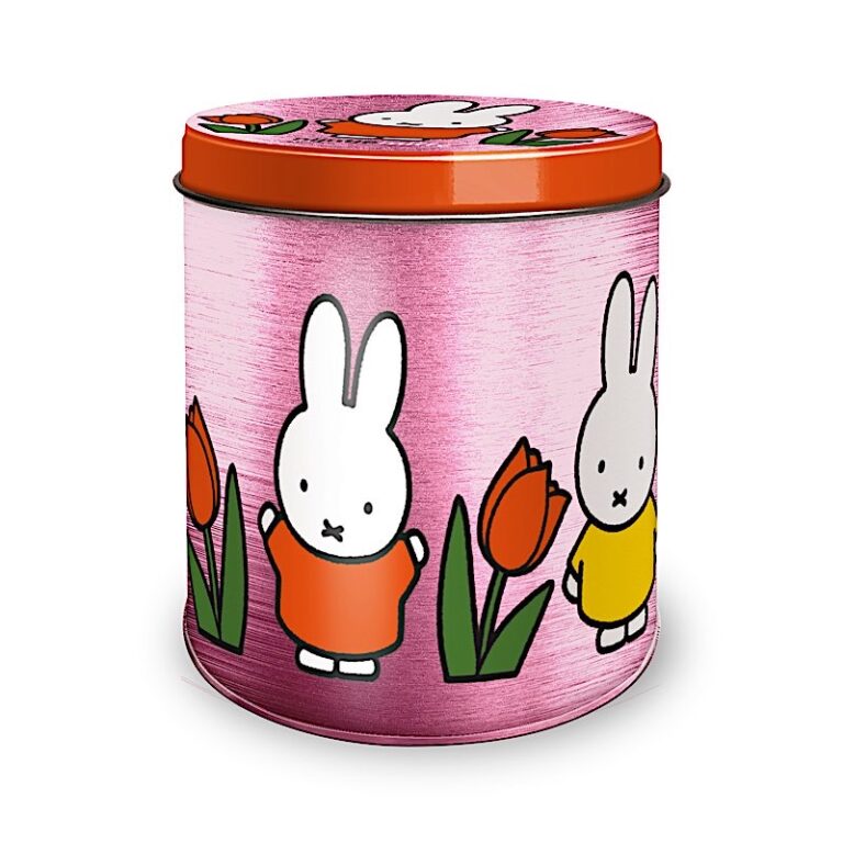 Boîte Miffy S Magic Touch of the Dutch