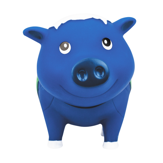 Earth Globe Pig