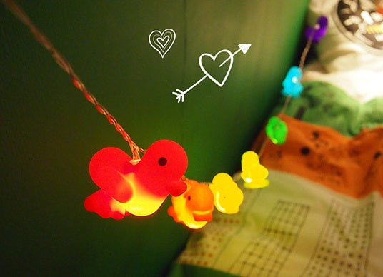 Bright garland Duck rainbow