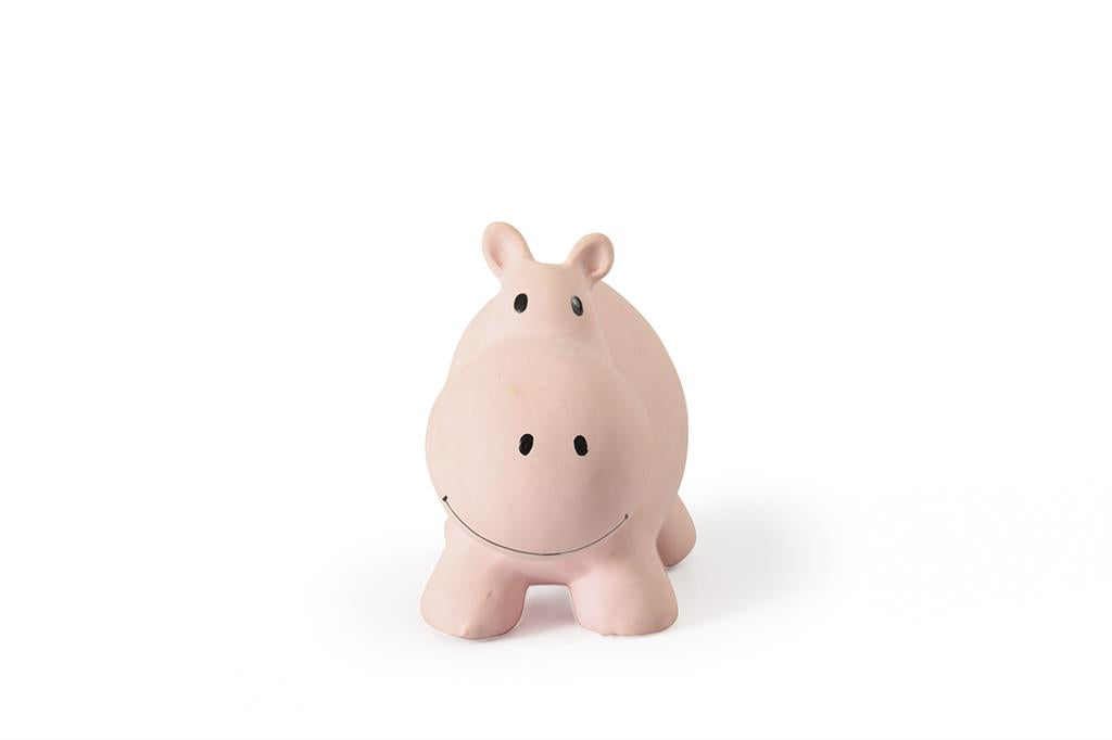 Hippopotame du Zoo, vue 12 – Tikiri