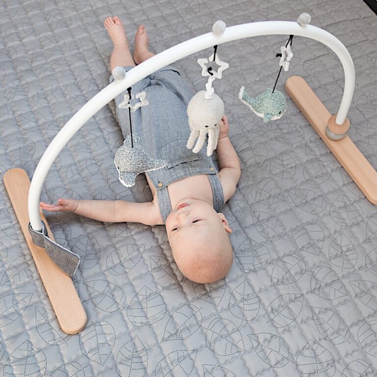 Ocean Theme Baby Gym