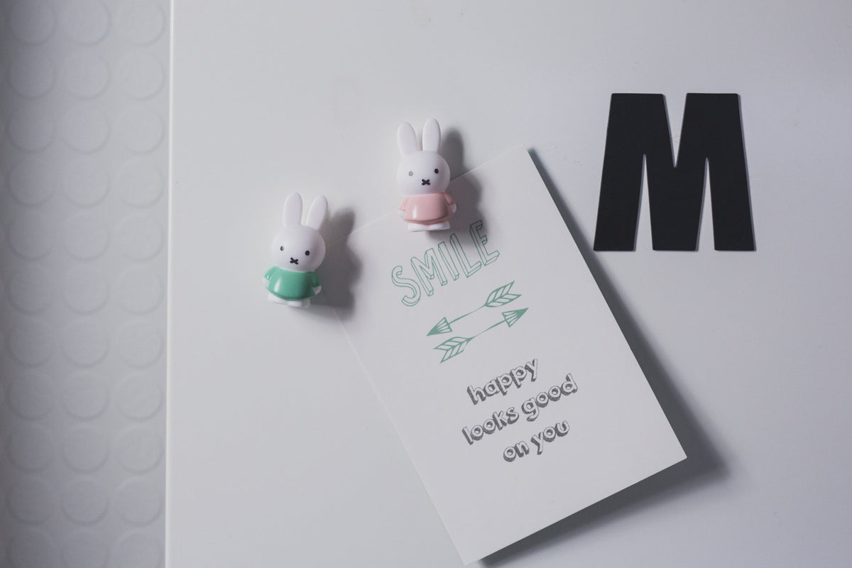 Set de 4 Magnets MIFFY Atelier Pierre Junior