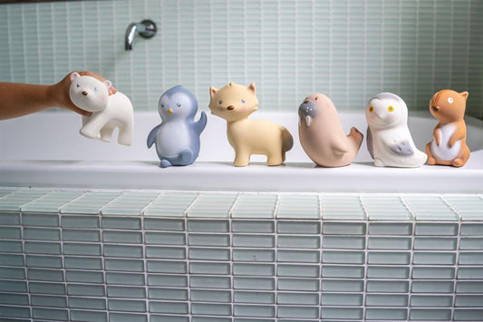 Hibou des Neiges Arctique, vue 2 – Tikiri
