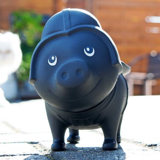 Dark Cochon - vue 2