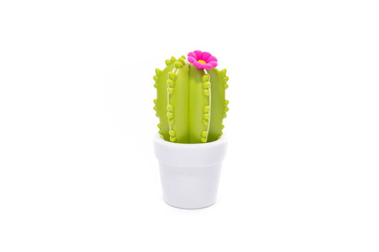Cactus flower night light