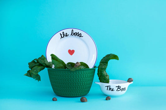 DIE FAMILIE HAT EINEN RIESEN-PLATZ - Der Boss