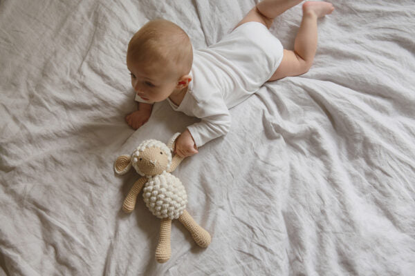 Beige sheep blanket