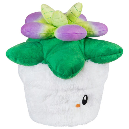 Peluche Mini Squishable – Plante Succulente