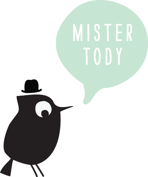 Mister Tody