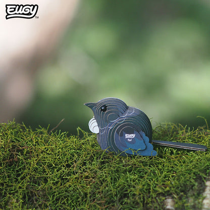 003 Tūī