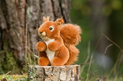 Plüschhörnchen