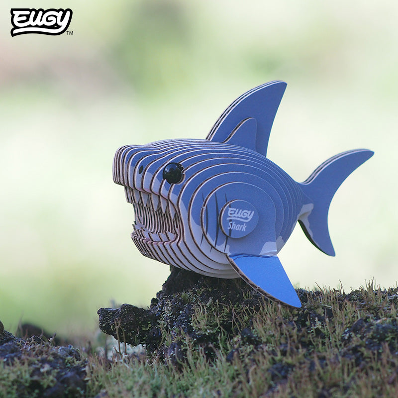 019 Requin