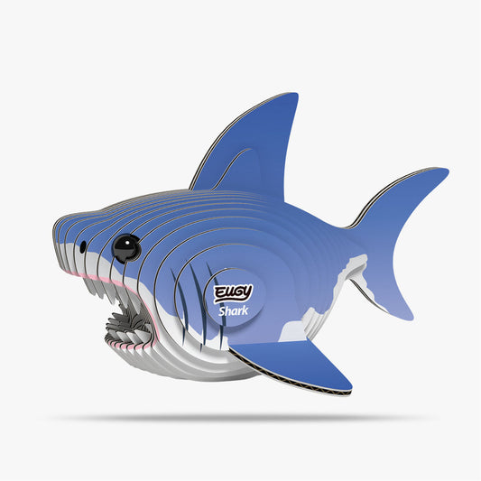 019 Hai